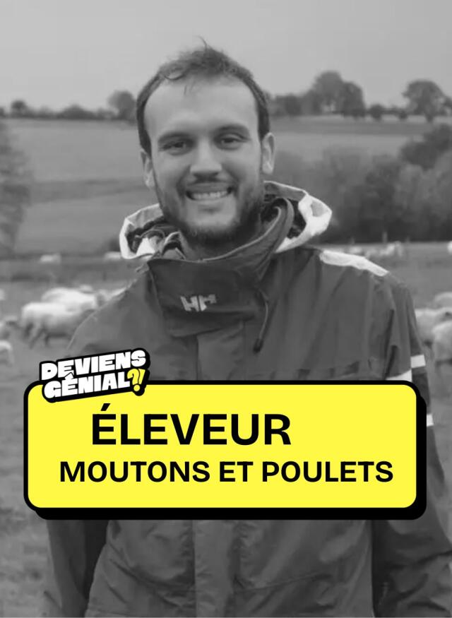 #51 Deviens éleveur de moutons et poulets !